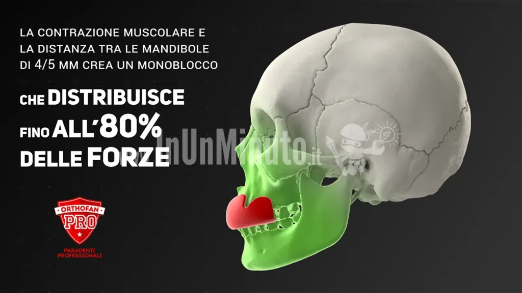 Skull made in 3D modeling and rendering for the simulation of a professional mouthguard and its benefits